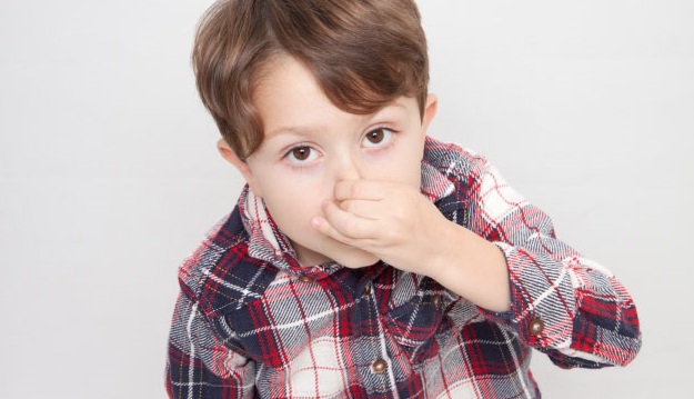 花をつまんでこちらを見るチェック柄のシャツを着た男の子の画像1