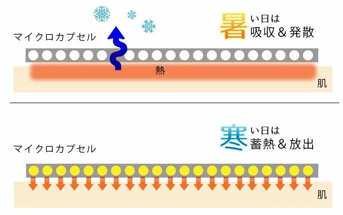 アウトラスト　作用　図解