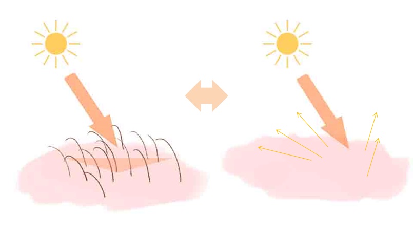 イラスト　産毛で反射阻害　イメージ