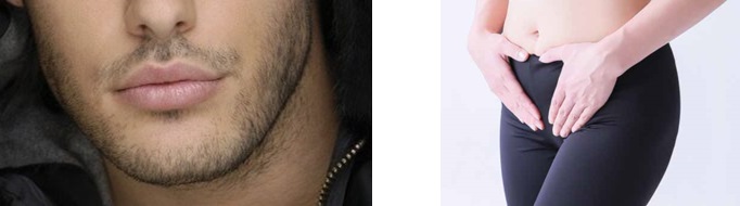 ひげと女性の下腹部の画像